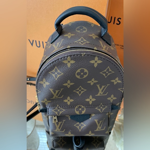 Louis Vuitton Palm Springs Mini - Picture 16 of 16